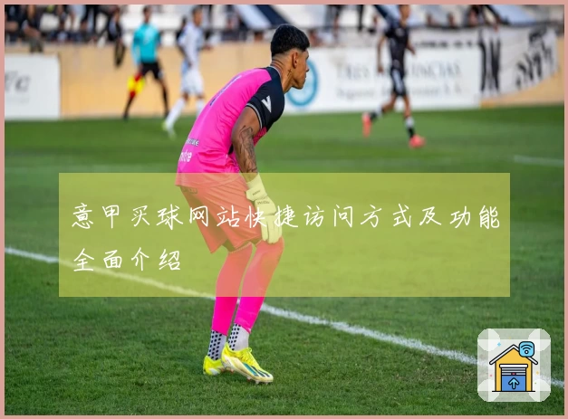 意甲买球网站快捷访问方式及功能全面介绍