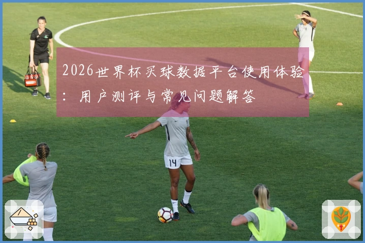 2026世界杯买球数据平台使用体验：用户测评与常见问题解答