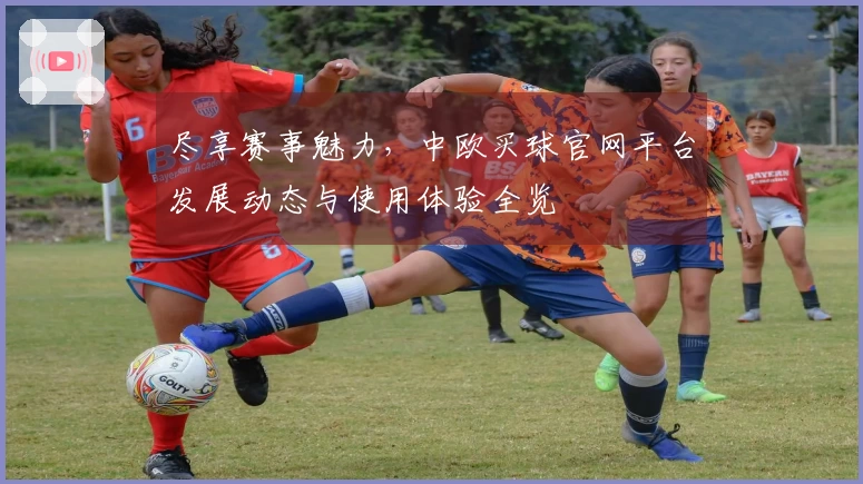 尽享赛事魅力，中欧买球官网平台发展动态与使用体验全览