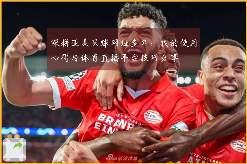深耕亚美买球网址多年，我的使用心得与体育直播平台技巧分享